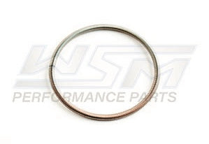 Power Valve Bellow Spring - Large