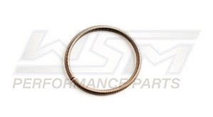 Power Valve Bellow Spring - Small